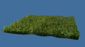 Grass