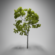 TreeTest2